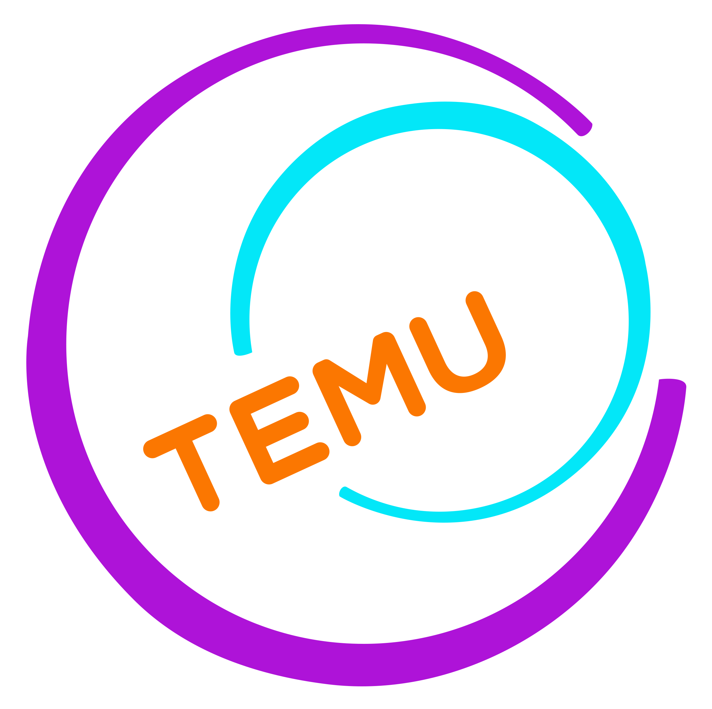 Temu
